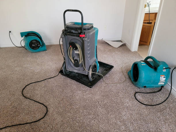 Carpet water damage restoration in Green Oaks, IL