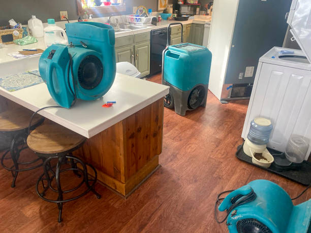 Best Mold removal after water damage  in Green Oaks, IL