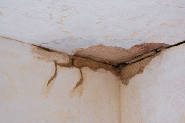 Local water damage restoration in Green Oaks, IL