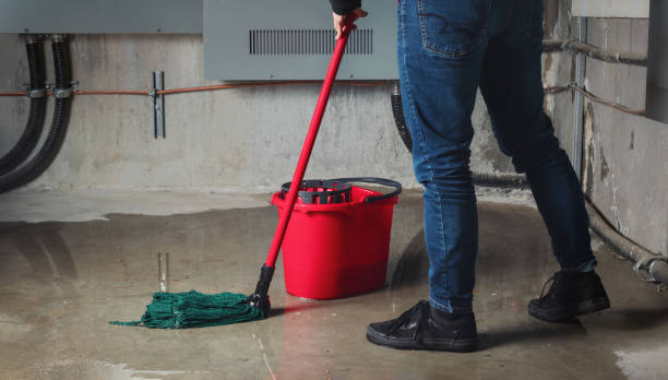 Best Water damage restoration near me  in Green Oaks, IL