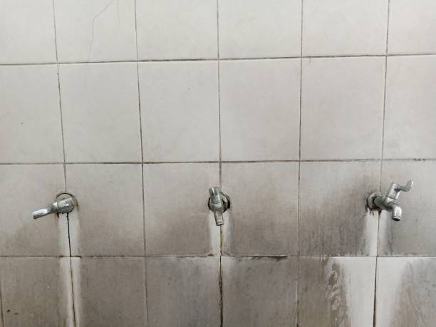 Best Emergency water damage restoration  in Green Oaks, IL