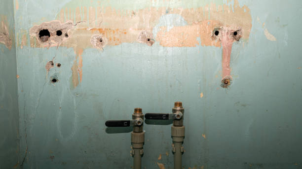 Best Local water damage restoration  in Green Oaks, IL