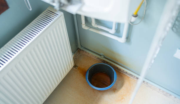 Best Water damage restoration near me  in Green Oaks, IL