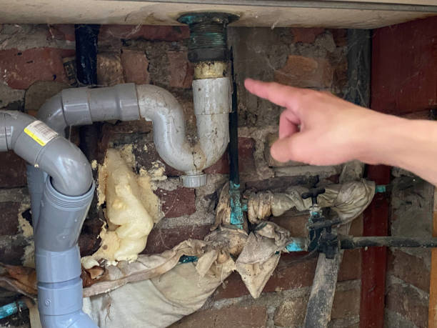 Best Water damage restoration near me  in Green Oaks, IL