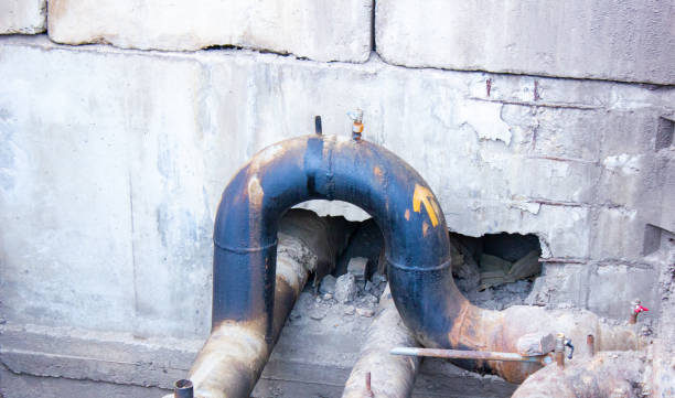 Best Professional water damage repair  in Green Oaks, IL