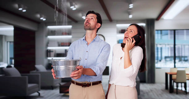 Best Water damage contractors near me  in Green Oaks, IL